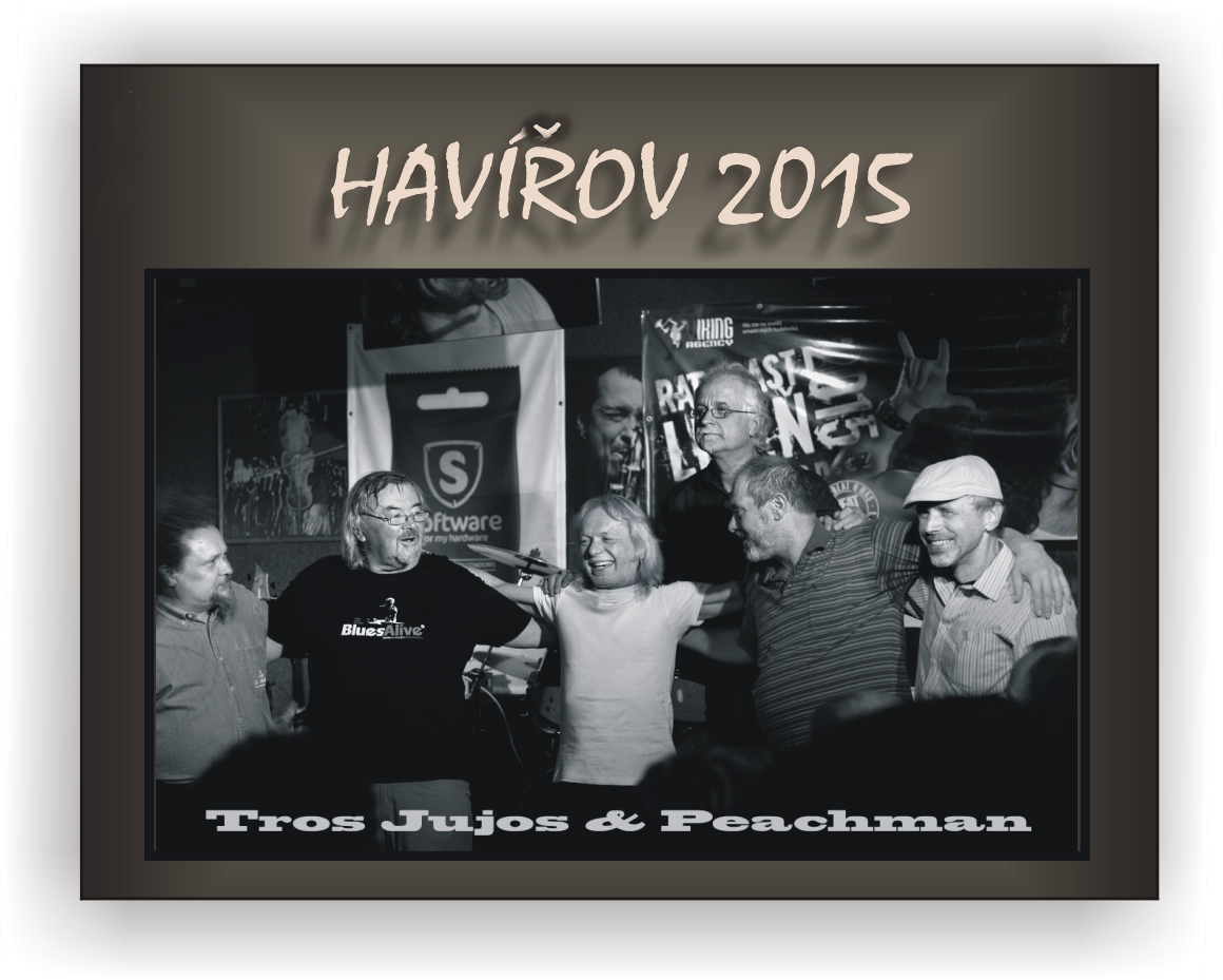 havirov2015